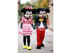 mickey and minnie mouse costume